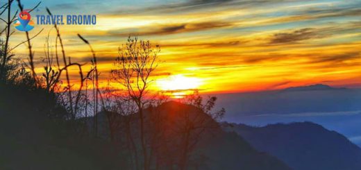 Bromo Sunrise Tour 1 Day Trip from Probolinggo
