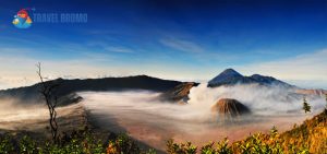 Bromo Package Options
