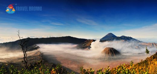 Bromo Tour Options